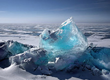 石家庄女篮啦啦队社媒分享舞蹈：28号主场我们不见不散